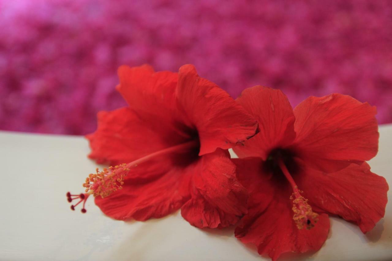 Kokonut Suites Seminyak Dalung  Dış mekan fotoğraf